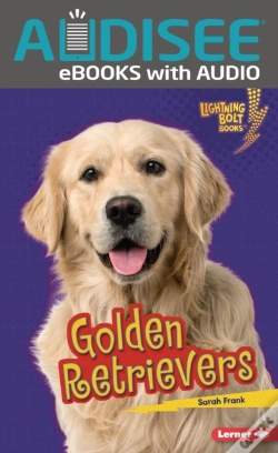 Capa do artigo Golden Retrievers