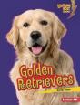 Golden Retrievers - Preview
