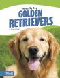 Golden Retrievers - Preview