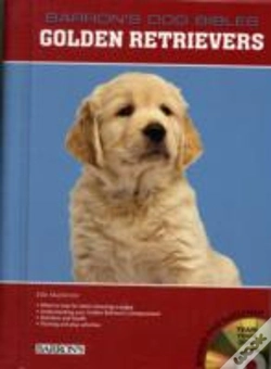 Capa do artigo Golden Retrievers Wdvd