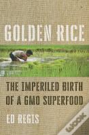 Golden Rice