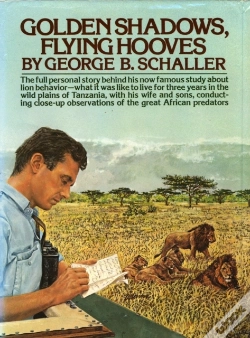 Capa do artigo Golden Shadows