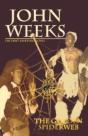 Golden Spiderweb - Preview