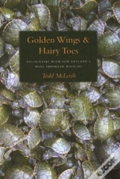 Capa do artigo Golden Wings & Hairy Toes
