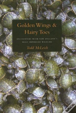 Capa do artigo Golden Wings & Hairy Toes