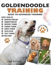Capa do artigo Goldendoodle