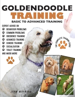 Capa do artigo Goldendoodle