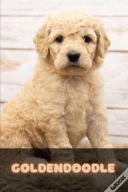Capa do artigo Goldendoodle