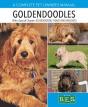 Goldendoodles - Preview