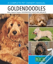 Capa do artigo Goldendoodles