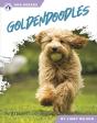 Goldendoodles - Preview