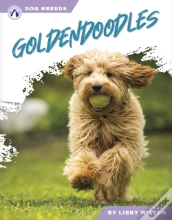 Capa do artigo Goldendoodles