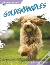 Goldendoodles
