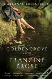 Capa do artigo Goldengrove