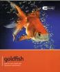Goldfish - Pet Friendly - Preview