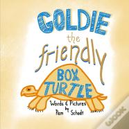 Goldie The Friendly Box Turtle
