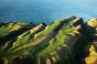 Golf Courses - Preview