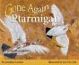 Gone Again Ptarmigan - Preview