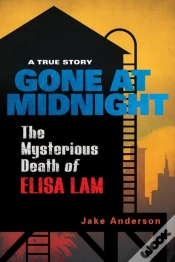 Capa do artigo Gone At Midnight