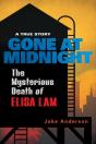 Gone At Midnight - Preview