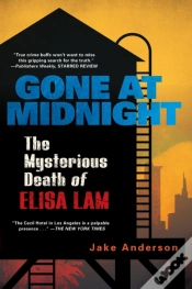 Capa do artigo Gone At Midnight