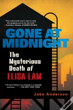 Capa do artigo Gone At Midnight
