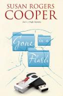 Gone In A Flash