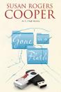 Gone In A Flash - Preview
