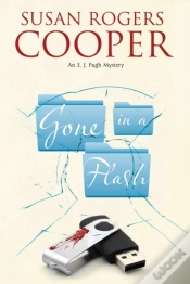 Capa do artigo Gone In A Flash
