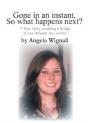 Gone In An Instant. So What Happens Next? - Preview