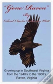 Capa do artigo Gone Raven