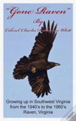 Capa do artigo Gone Raven