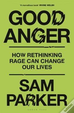 Capa do artigo Good Anger