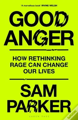 Capa do artigo Good Anger