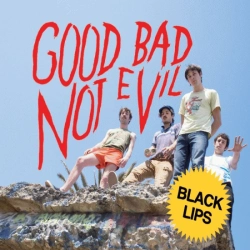 Capa do artigo Good Bad Not Evil - CD