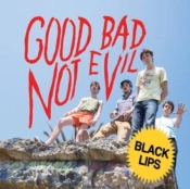 Capa do artigo Good Bad Not Evil - Vinil