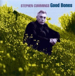 Capa do artigo Good Bones - CD