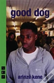 Capa do artigo Good Dog