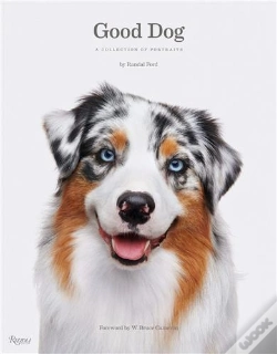 Capa do artigo Good Dog