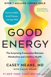 Capa do artigo Good Energy