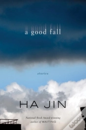 Capa do artigo Good Fall