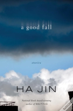 Capa do artigo Good Fall