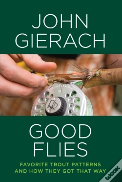 Capa do artigo Good Flies