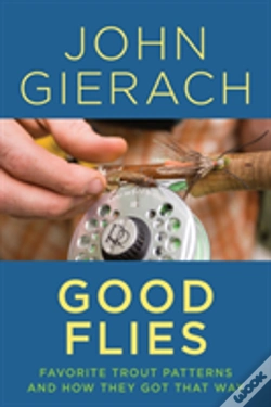 Capa do artigo Good Flies