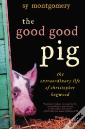 Capa do artigo Good Good Pig