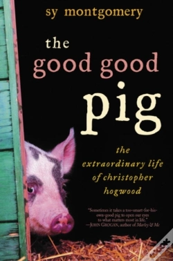 Capa do artigo Good Good Pig