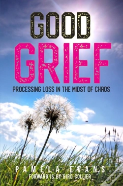 Capa do artigo Good Grief