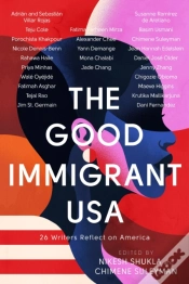 Capa do artigo Good Immigrant Usa