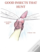 Good Insects That Hunt