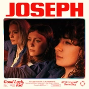 Capa do artigo Good Luck, Kid - Vinil